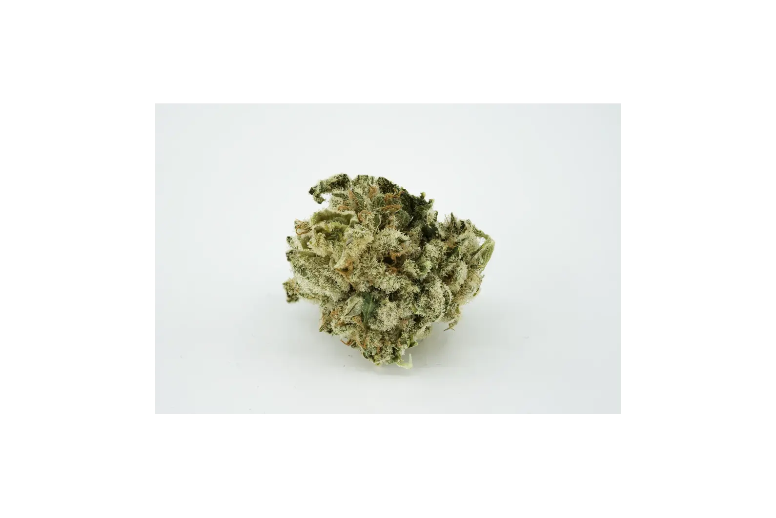 Produkte - Tilray THC18 Spotlight Porto