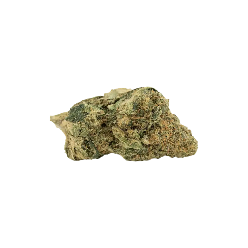 Produkte - remexian 24/1 C3