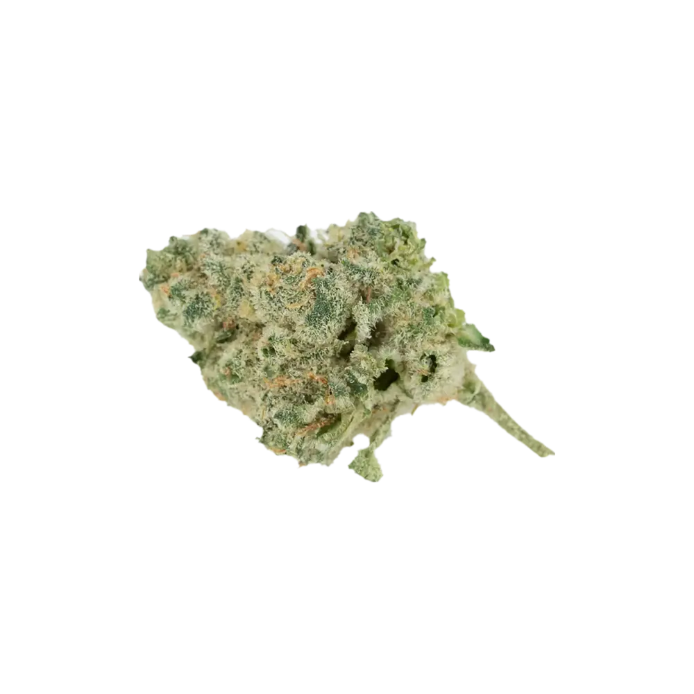 Produkte - Cannamedical Sativa Ultra NM