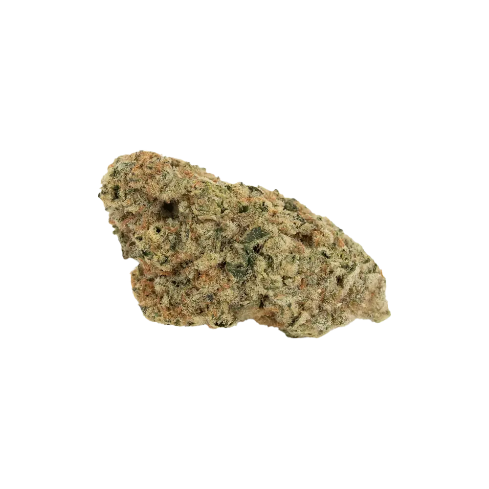 Produkte - GM Supernova 25:01