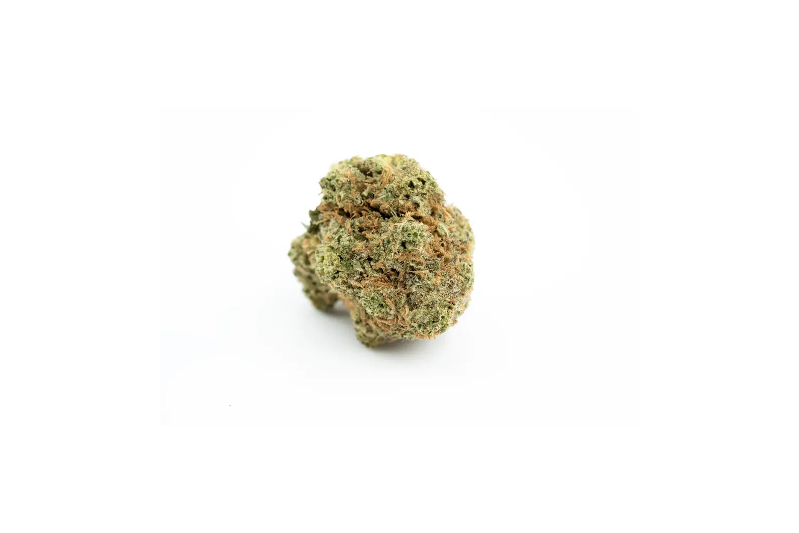Produkte - IMC MOB THC19 TOKEN Motor Breath