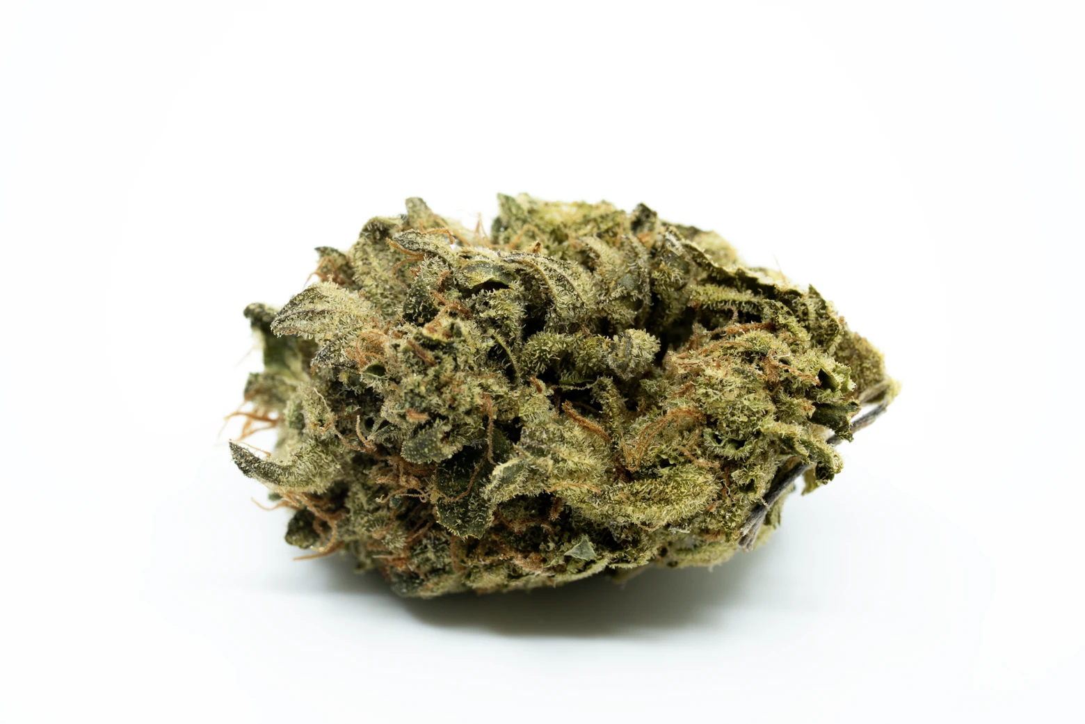 cm-ind-forte-nm-sugar-bomb-punch-cannabisblueten-greensby