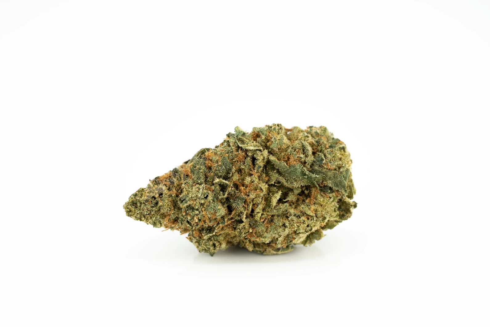 costa-canna-dynamics-mezzo-forte-hell-monkey