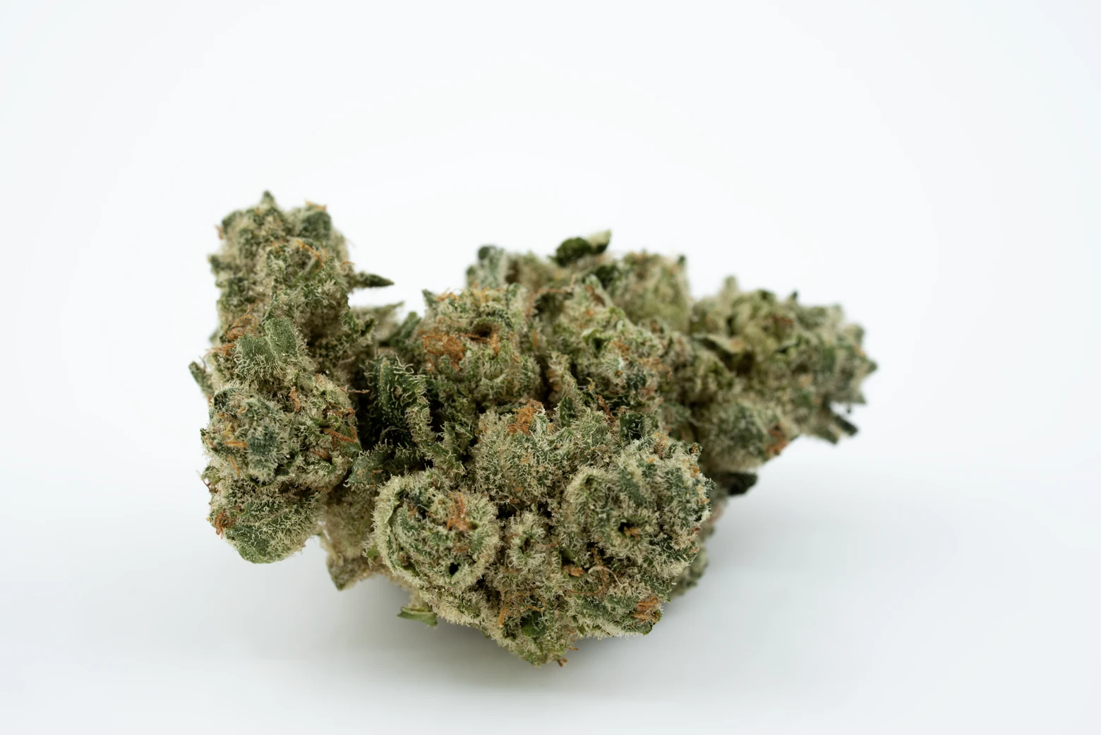 craft-31-1-d-jungle-cannabisblueten-greensby