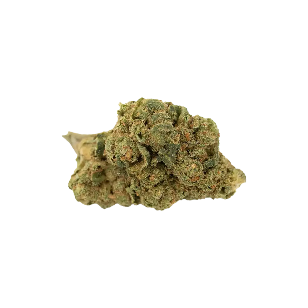 Produkte - Avaay SIMPLE 23/1 LSB