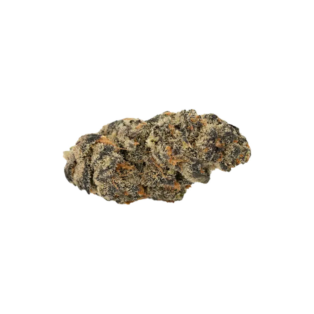 Produkte - Vasco GG