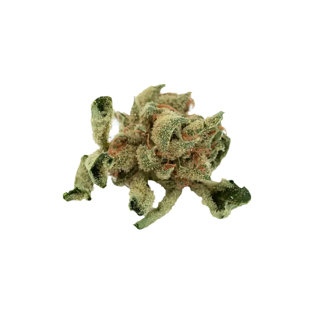Produkte - Tilray THC18 Spotlight Porto 