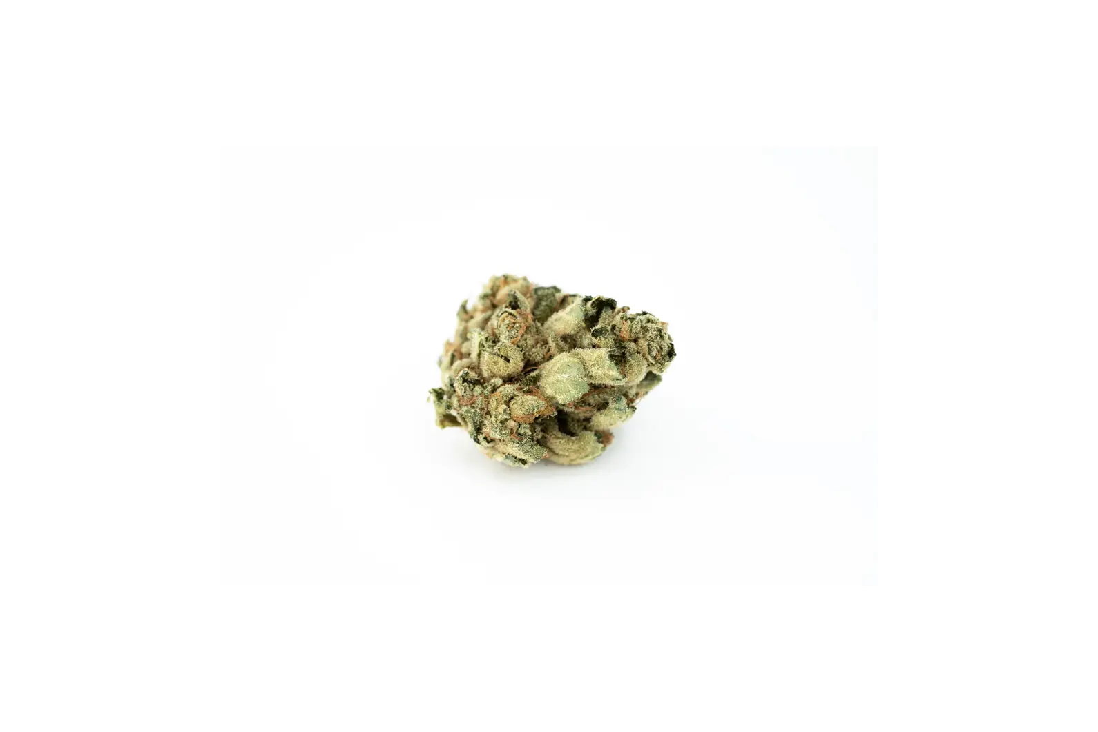 Produkte - Tilray THC22 Spotlight Porto