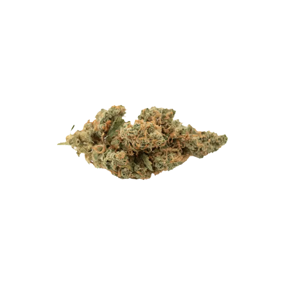 Produkte - Navcora THC22 Spotlight Porto