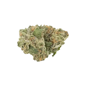 Produkte - enua 22/1 ICC CA