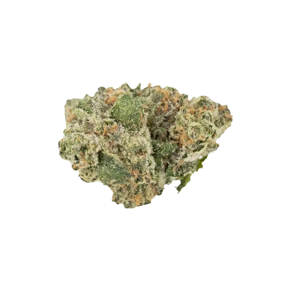 Produkte - enua 25/1 ICCK CA
