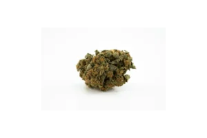 Produkte - Cannamedical Balanced forte