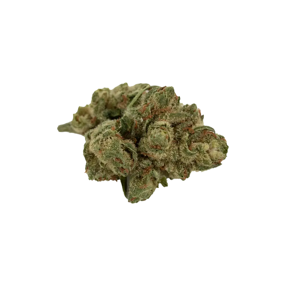 Produkte - Tilray Craft THC25 PPV