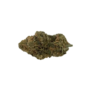 Produkte - Costa Canna Dynamics-fortissimo