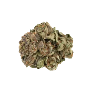 Produkte - Navcora THC22 Spotlight Porto