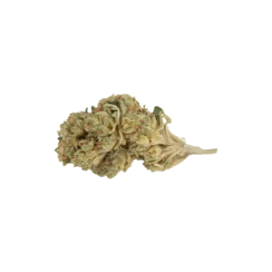 Produkte - enua 20/1 JFG CA