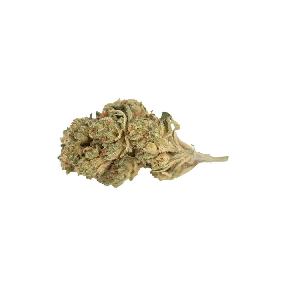 Produkte - enua 20/1 JFG CA