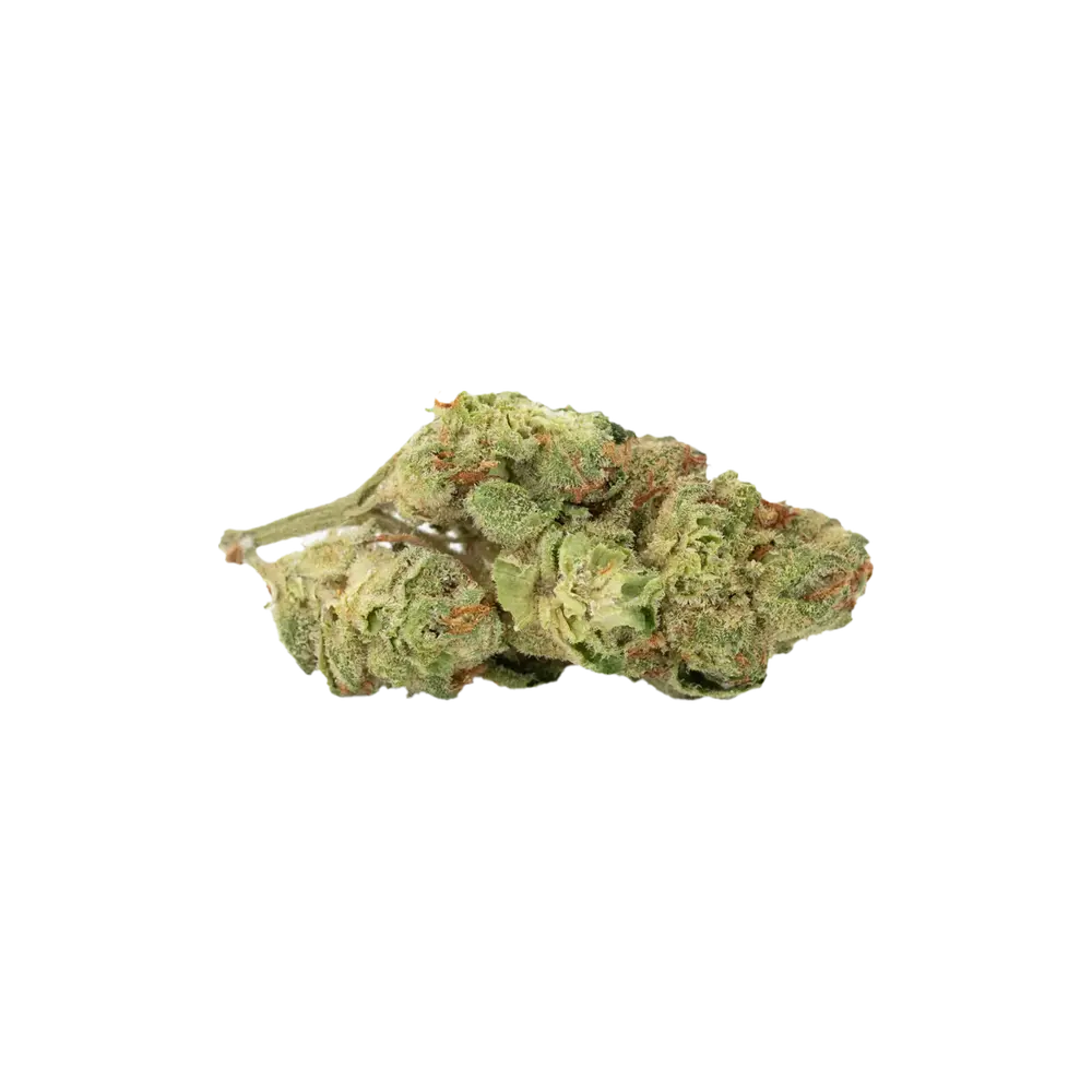 Produkte - Cannamedical Hybrid forte