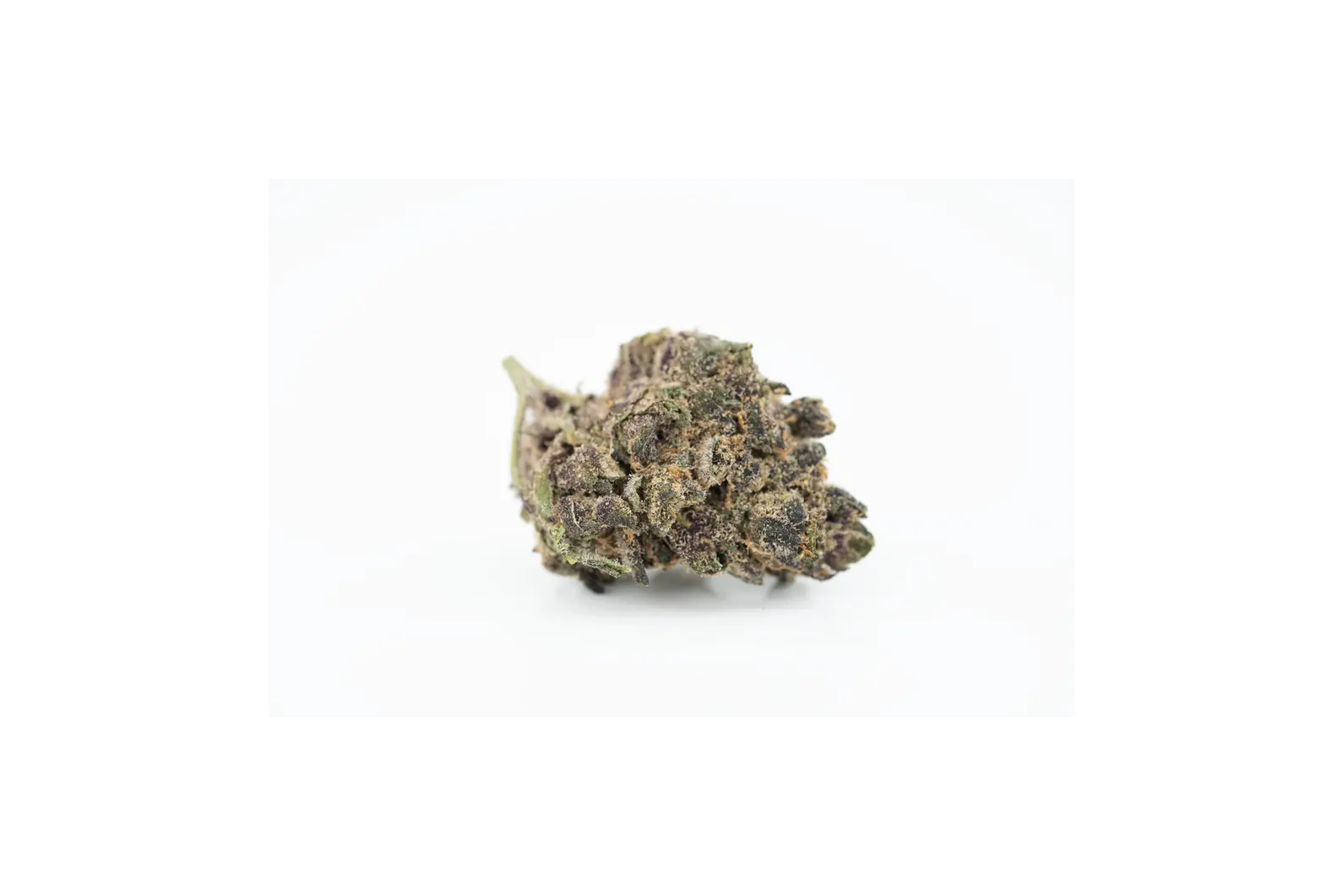 Produkte - CannabiStada TRO 17