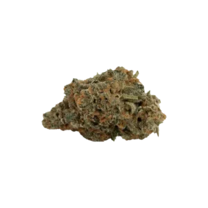Produkte - Oceanic BL