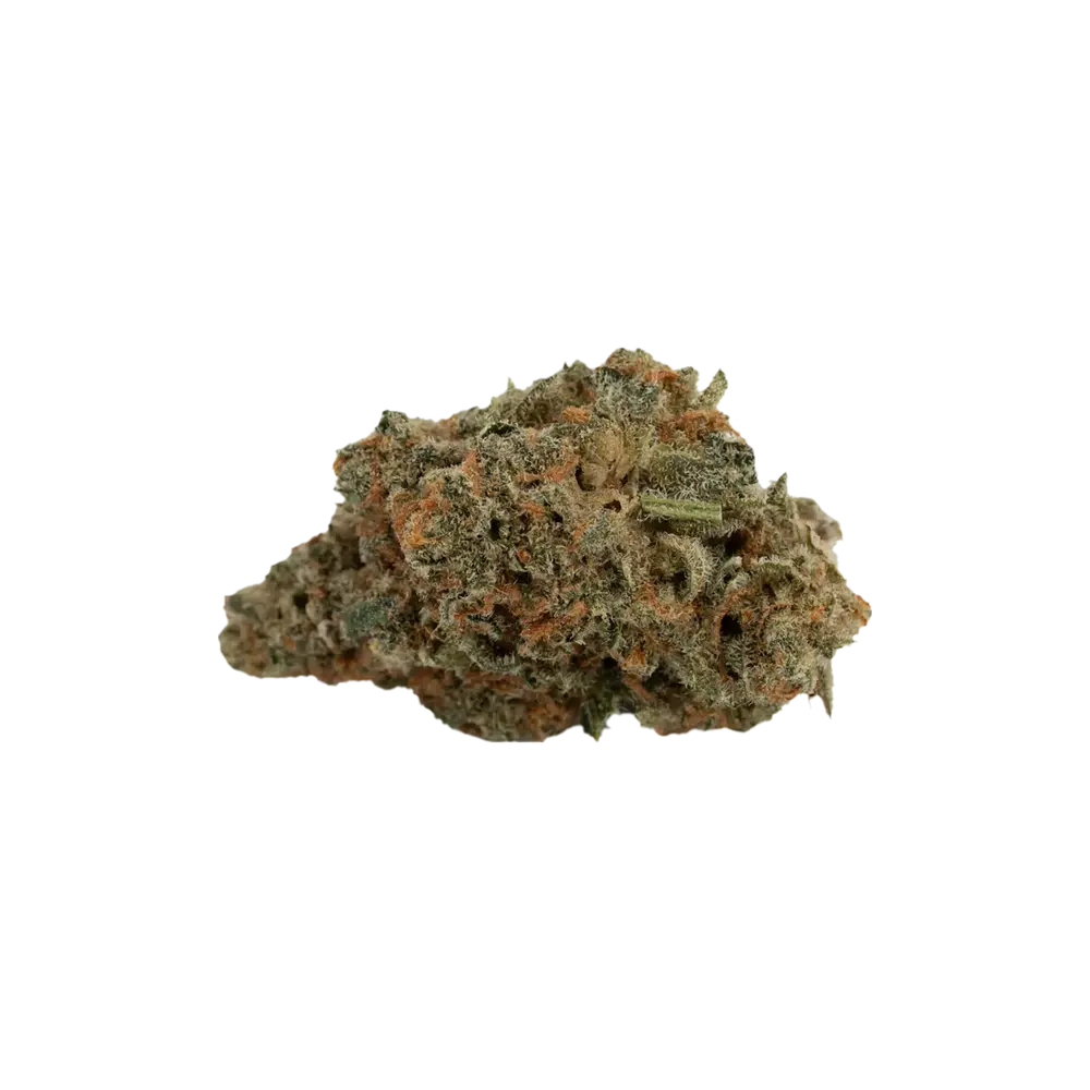Produkte - Oceanic BL 21/1