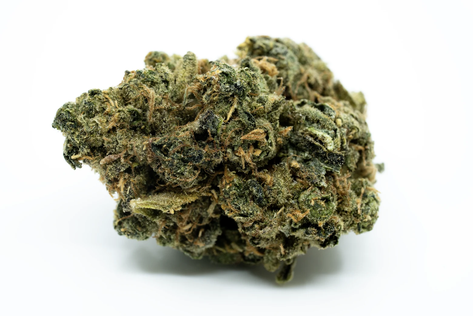 drapalin-26-1-oreoz-cannabisblueten-greensby