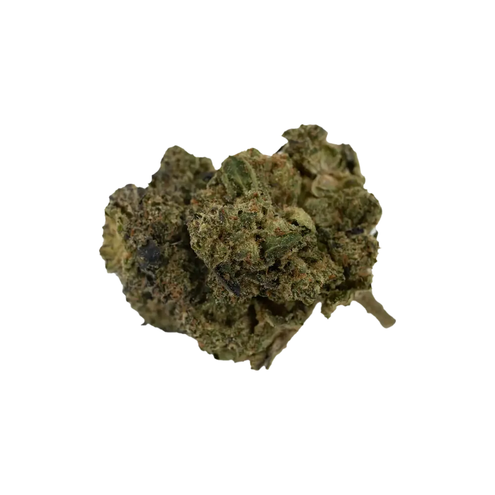 Produkte - Aurora 24/1 PNK-CA