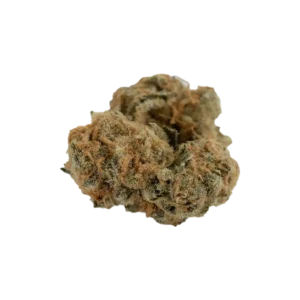 Produkte - Nimbus EASY 24/1 
