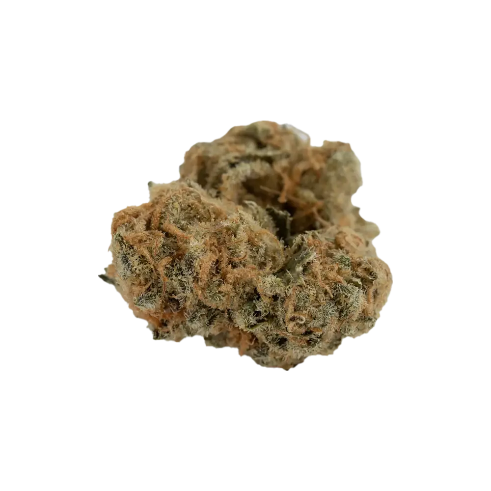 Produkte - Cannamedical Sativa vita