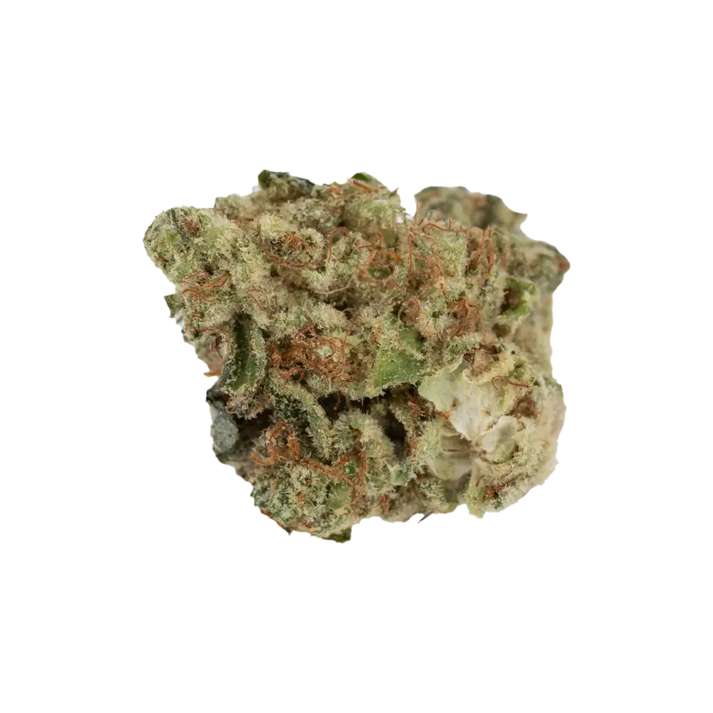 Produkte -  CM 33/1 Diamond