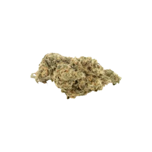 Produkte - Cannamedical Hybrid forte NM