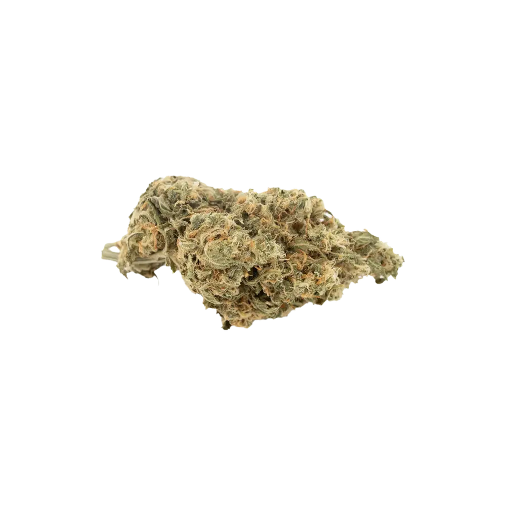 Produkte - Cannamedical Hybrid forte NM