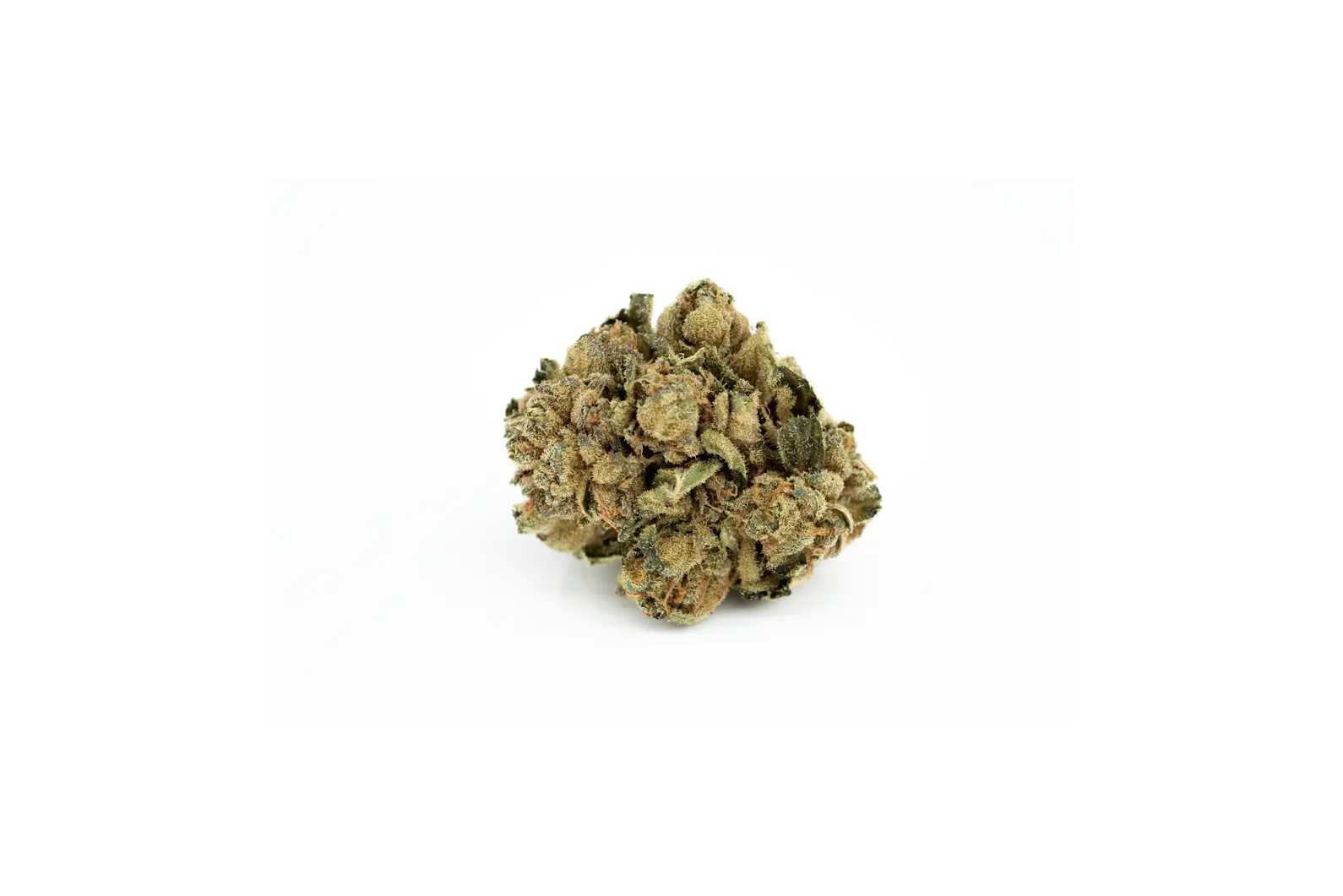 Produkte - Canify 18/1 PT Pink Kush