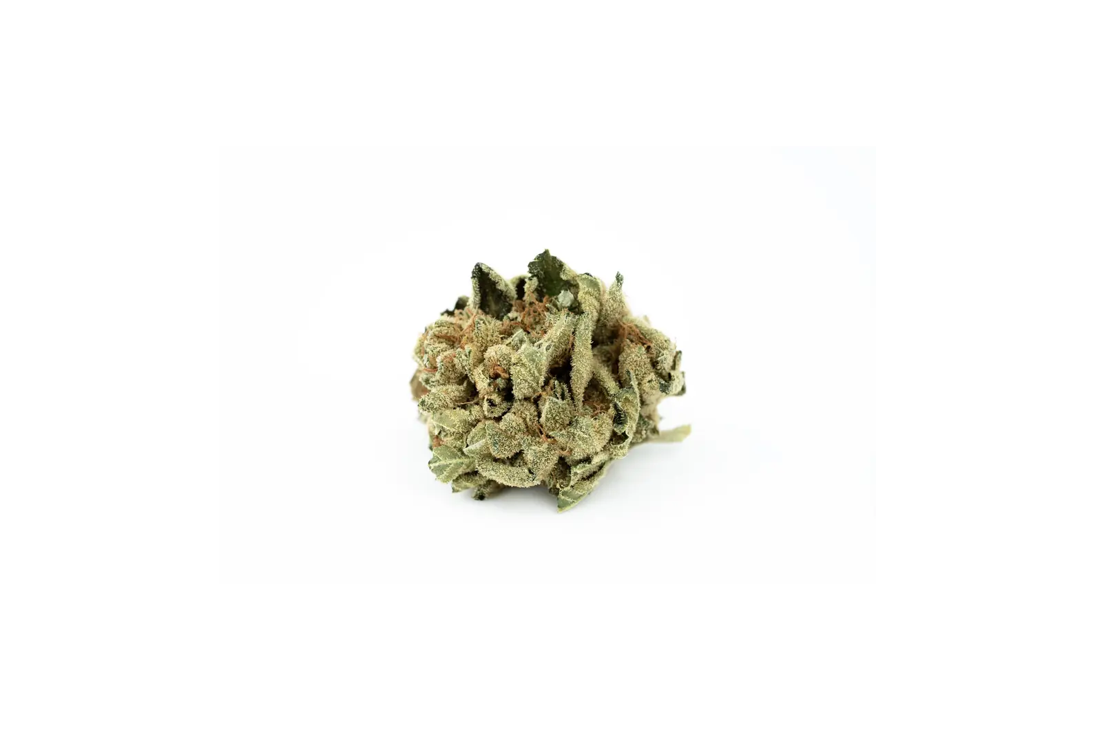 Produkte - Tilray THC18 Spotlight Porto