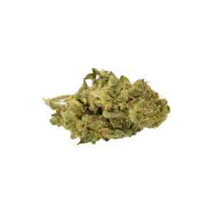 Produkte - Nimbus ZRP 21/1