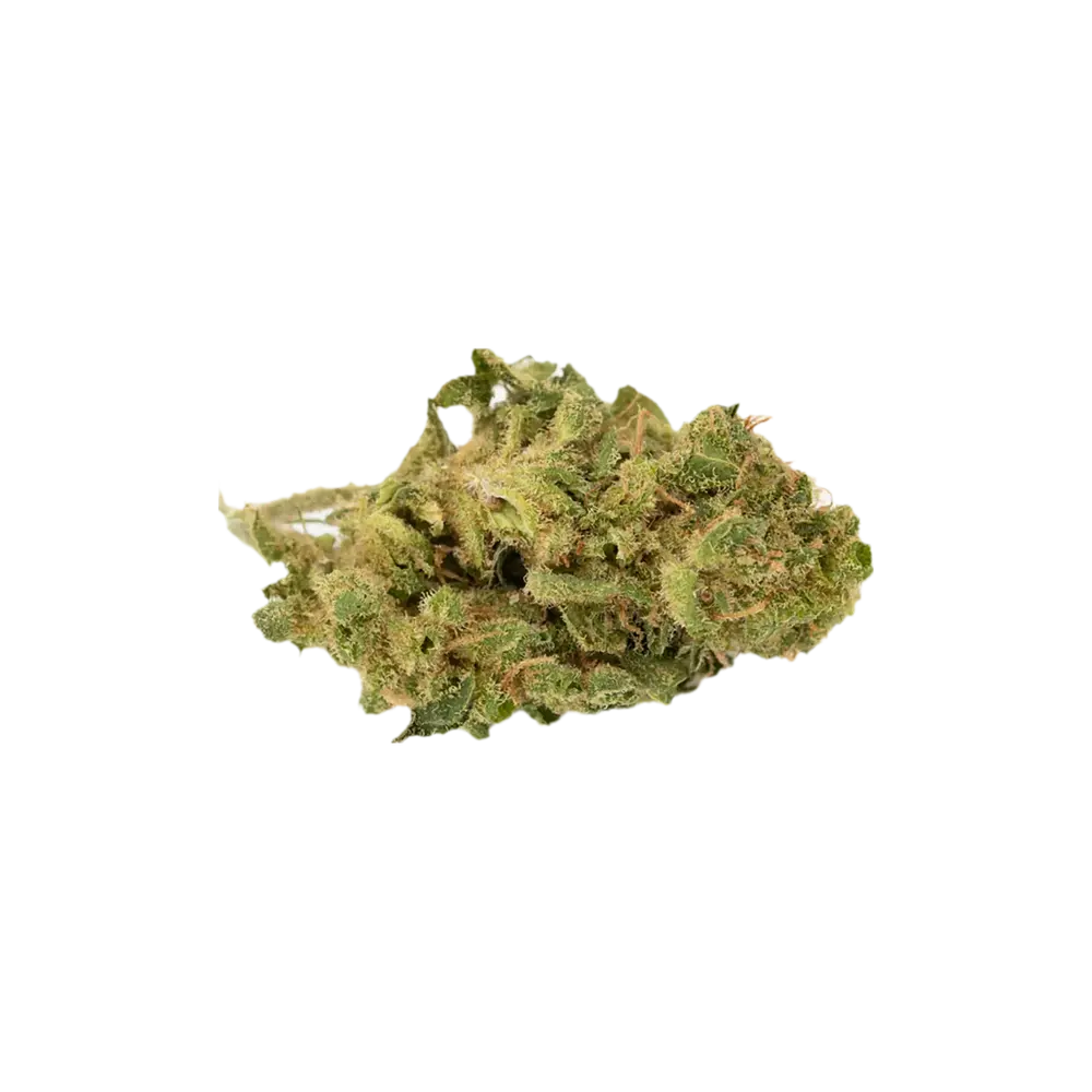 Produkte - Nimbus ZRP 21/1