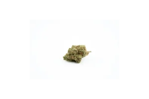 Produkte - AVAAY 23/1 CRE