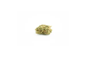 Produkte - RE:CANNIS 16/1 Sativa