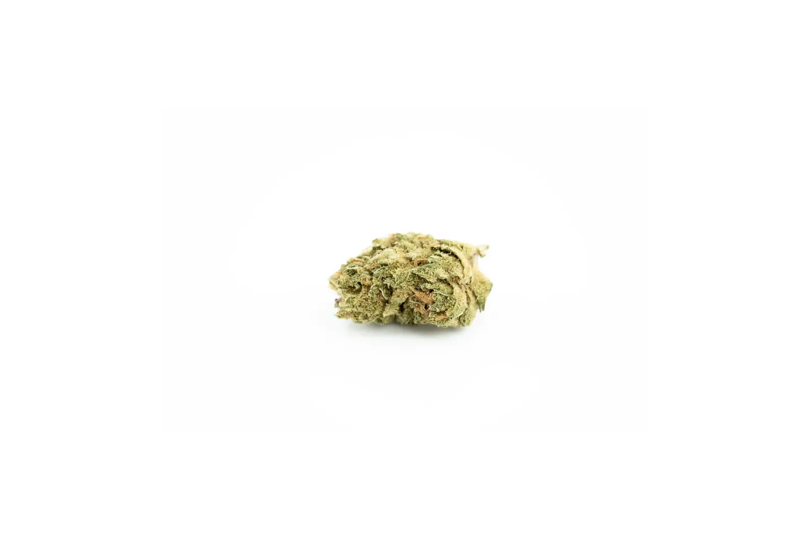 Produkte - RE:CANNIS 16/1 Sativa