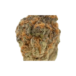 Produkte - 23/1 NICE C