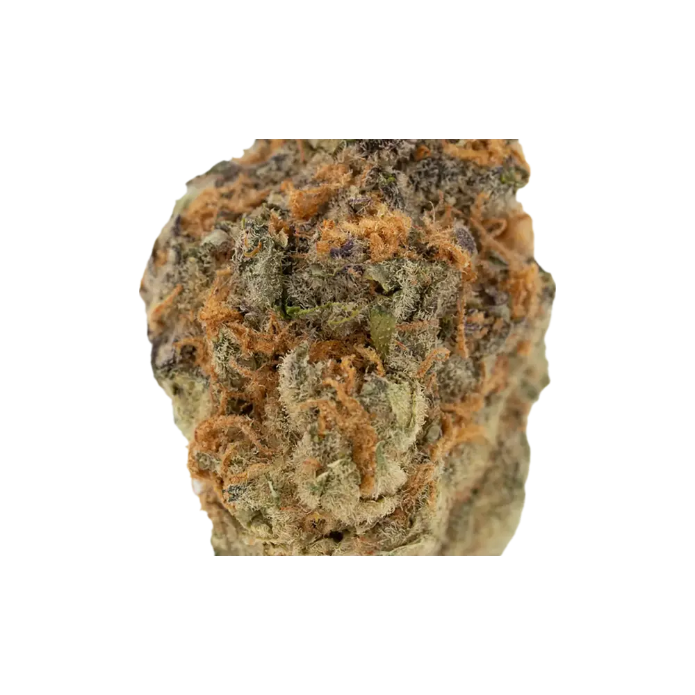 Produkte - 23/1 NICE C