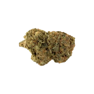 Produkte - alephSana amber 26/1