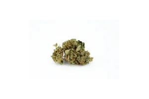 Produkte - Aphria forte 9