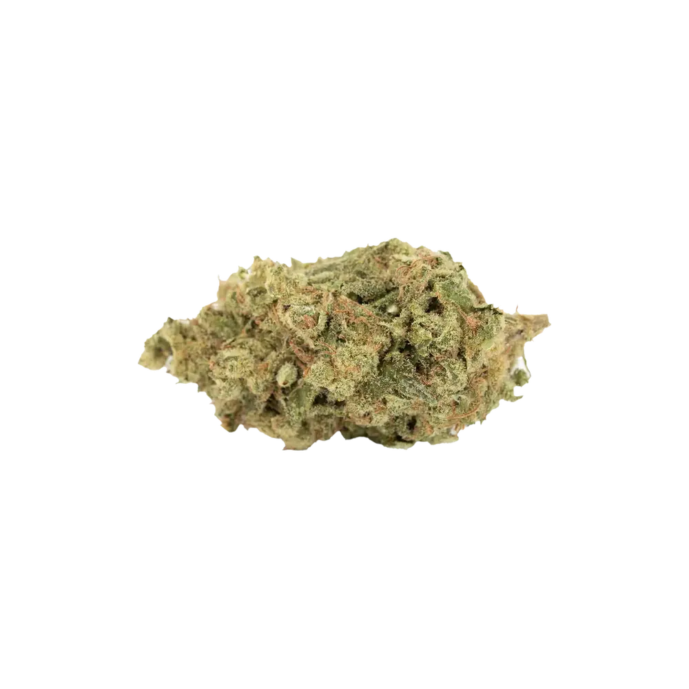 Produkte - madrecan 18/1 WOP