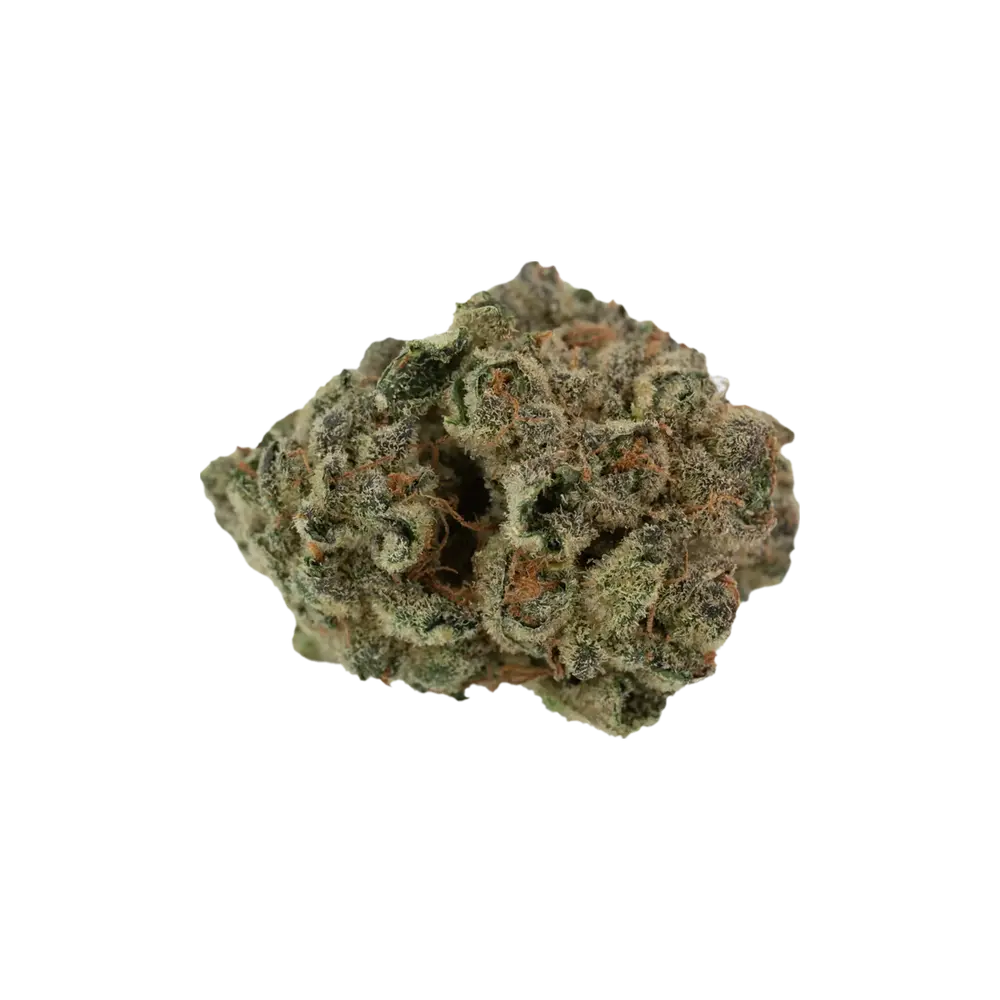 Produkte - BLKMKT LAW THC25 Lee Anne Womac