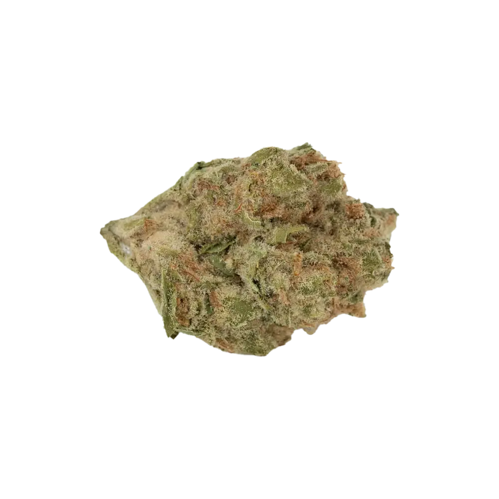 Produkte - enua 22/1 BCP CA