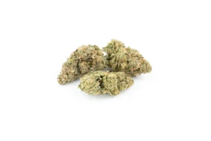 Produkte - Ostara GC