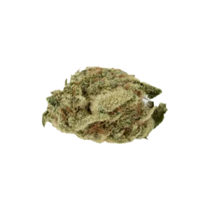 Produkte - Barongo 24/1 Banjo