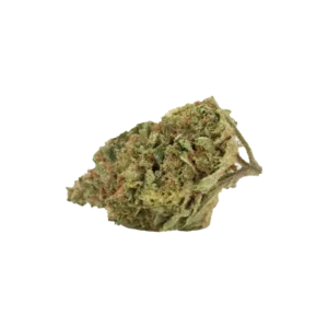 Produkte - madrecan 21/1 RCH