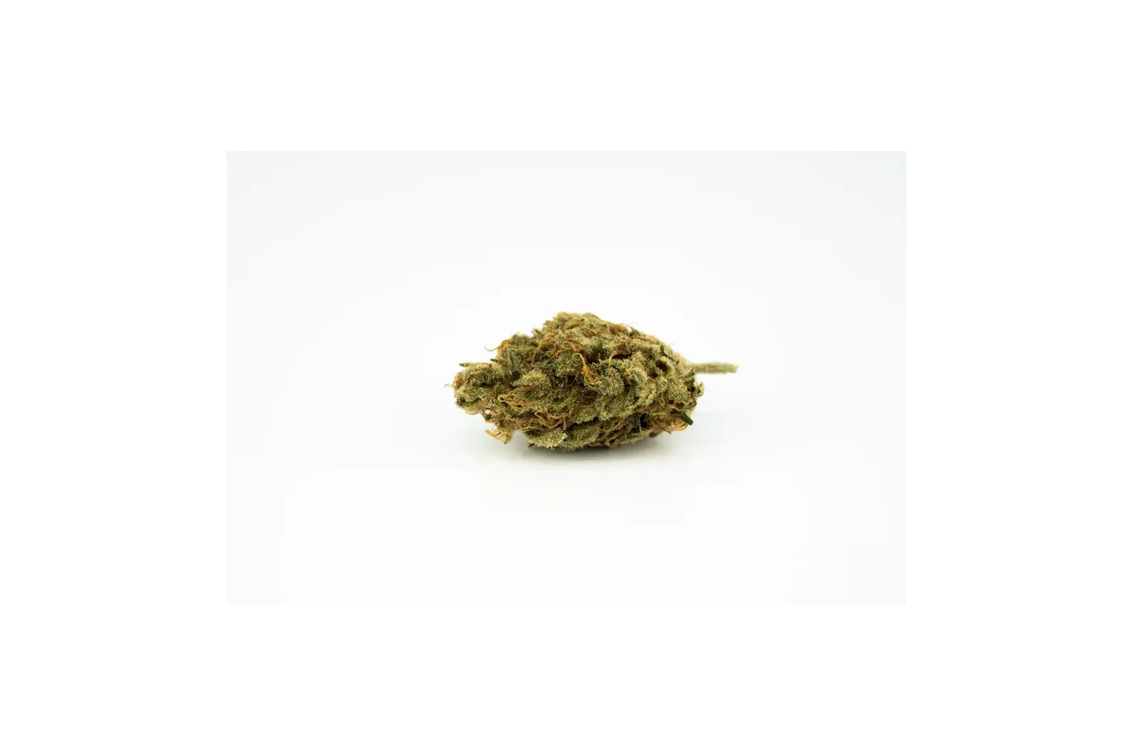 Produkte - Curaleaf Natural 27/1 PT ZKS 